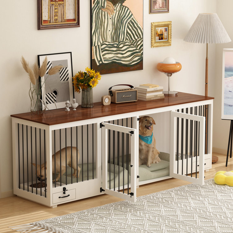 Two dog crates in same clearance room